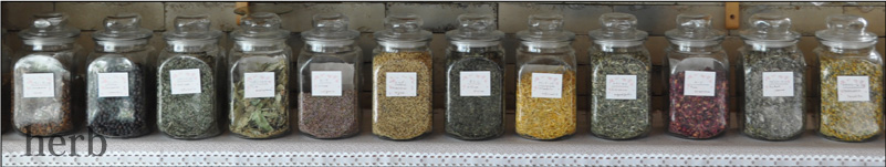 アロマテラピーコース