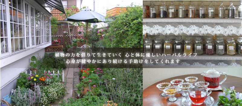 植物の力を借りて生きていく　心と体に優しいハーバルライフ　心身が健やかにあり続ける手助けをしてくれます